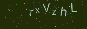Validation image